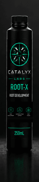 ROOT-X official bottle render